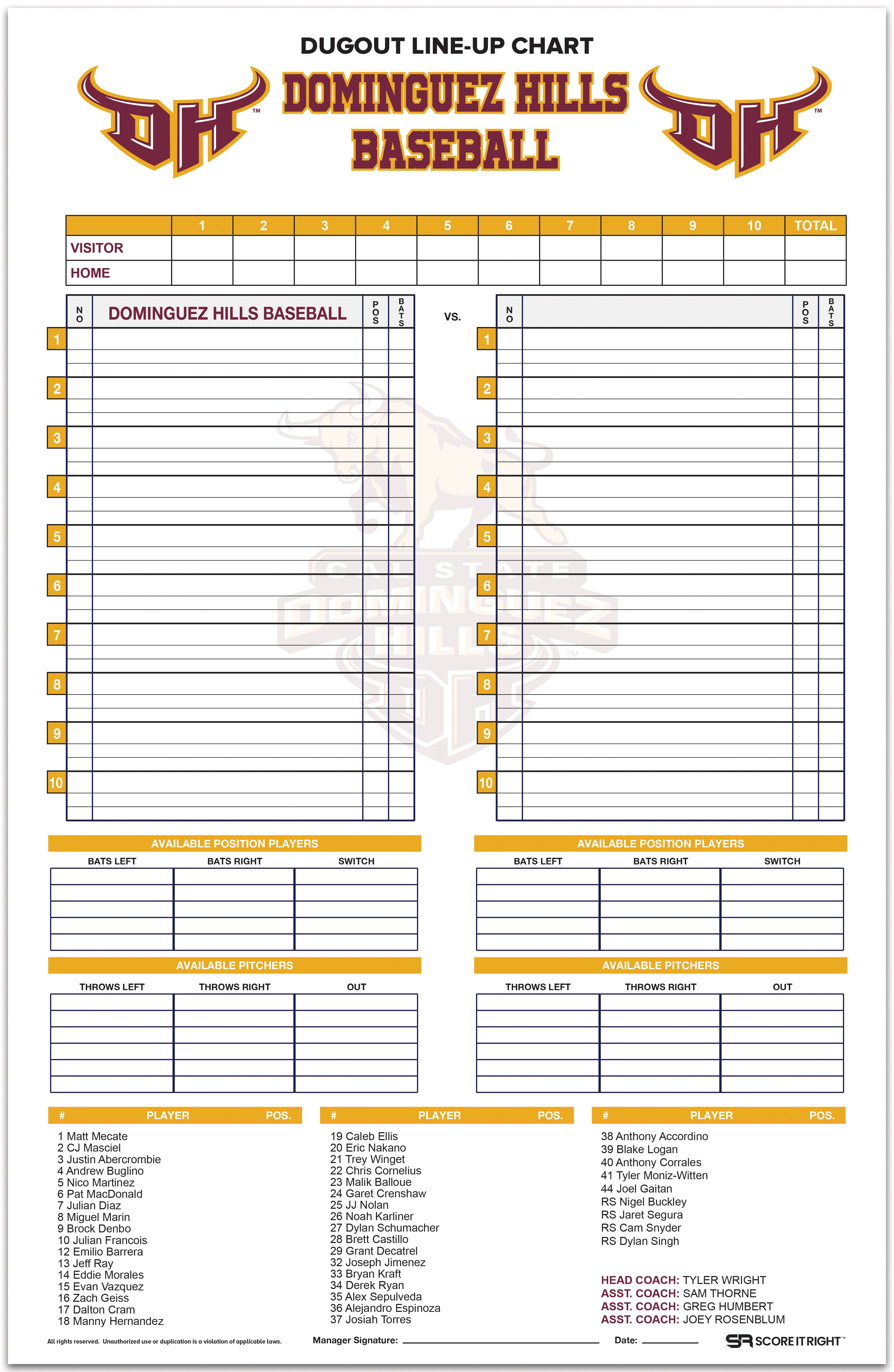 Custom Dugout Line-Up Chart Size: 11" x 17" Durable Cardstock (WITH ROSTER) 1 pack comes with 32 pieces